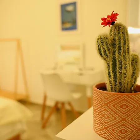 Apartamento Zoé Nea Kallikrateia